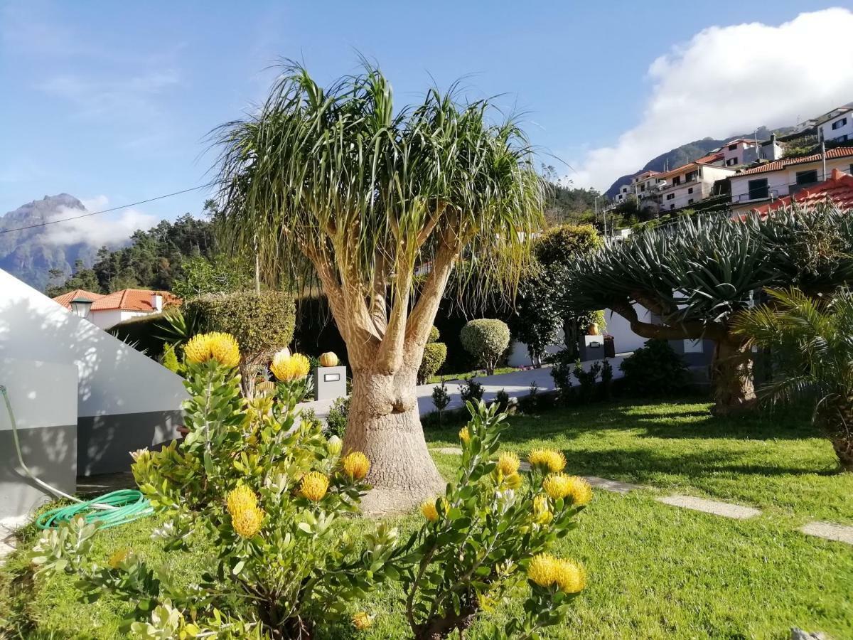 منزل الضيف São Vicente  في Granny'S Farm المظهر الخارجي الصورة