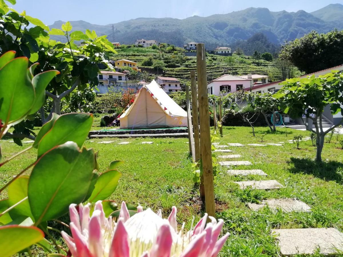 منزل الضيف São Vicente  في Granny'S Farm المظهر الخارجي الصورة
